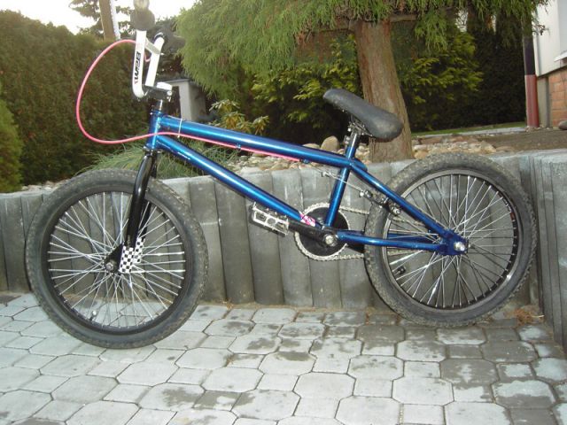 fotka