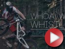Video: Whoa, Whips, and Whistling!