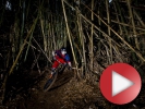 Video: V hlubokých lesích Tchajwanu