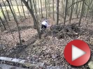 Video: Michal Prokop - Rutina #17