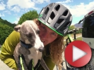 Video: Grip It and Whippet - poslední video Kelly McGarryho