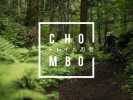 Video: The Giros - Chombo - Big in Japan
