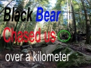 Video: s medvědem na dráze
