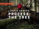 Video: Chris Akrigg  a jeden vyvrácený strom