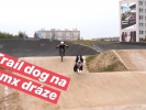 Video: Tomáš Zejda s trail dogem na BMX dráze