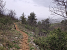 Spotcheck: Rabac bike trail a Vintijan MTB Trails, traily na Istrii