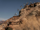 Red Bull Rampage 2024 - Semenuk pětinásobným vítězem