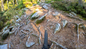 Anketa: Obří výkony a krouťáky elektromotoru... ne, děkuji nechci!