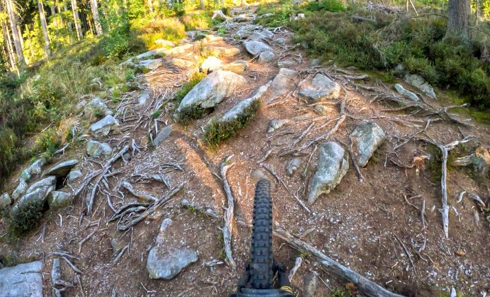 Anketa: Obří výkony a krouťáky elektromotoru... ne, děkuji nechci!