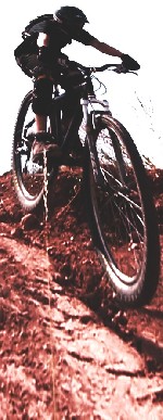 náhled fotky 15376.jpg