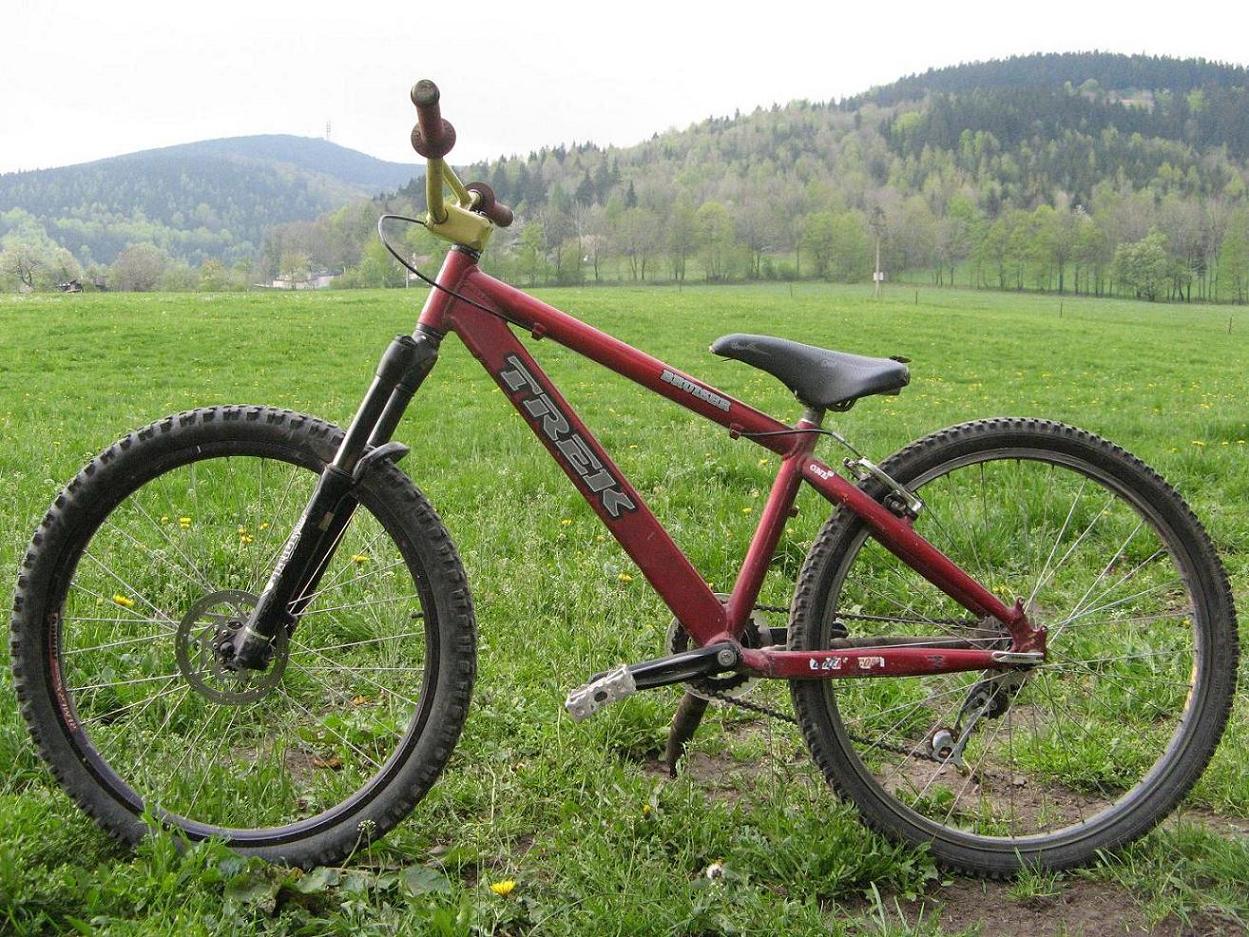 trek bruiser one