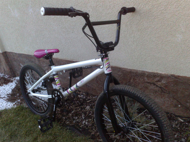 Mongoose subject hotsell
